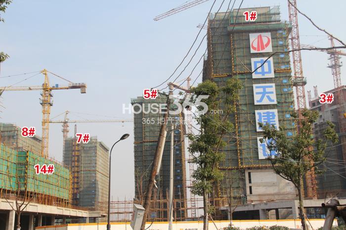 金地格林格林1、3、5、7、8、14号楼施工进度 2014年12月摄