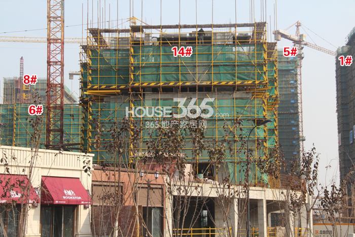 金地格林格林1、5、6、8、14号楼施工进度 2014年12月摄