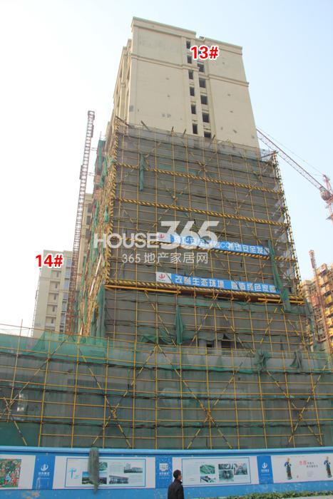 龙湖名景台一期13、14号楼施工进度 2014年12月摄 