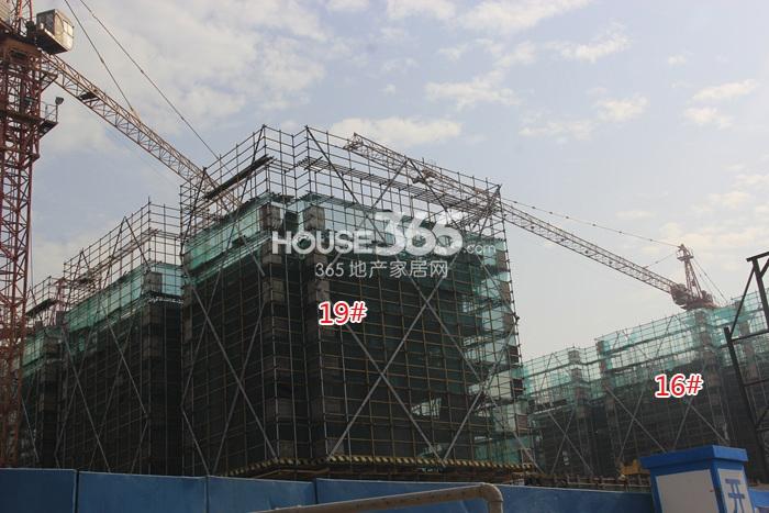 德信大家钱江府16、19号楼施工进度实景图 2015.1摄