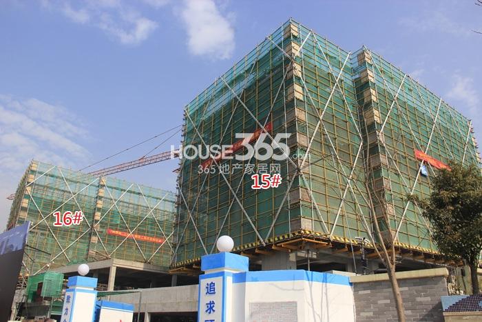 德信大家钱江府15、16号楼施工进度实景图 2015.1摄