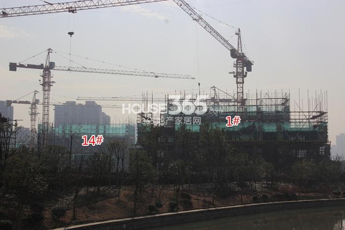 德信大家钱江府1、14号楼施工进度实景图 2015.1摄