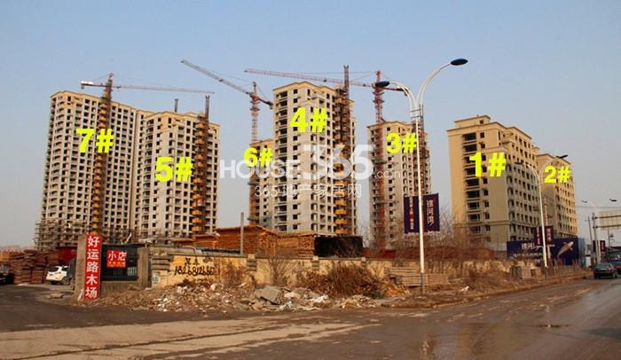 凯喜雅锦河1-7号楼进度实景图 2015.1摄