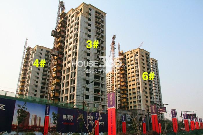 凯喜雅锦河3、4、6号楼施工进度实景图 2015.1摄