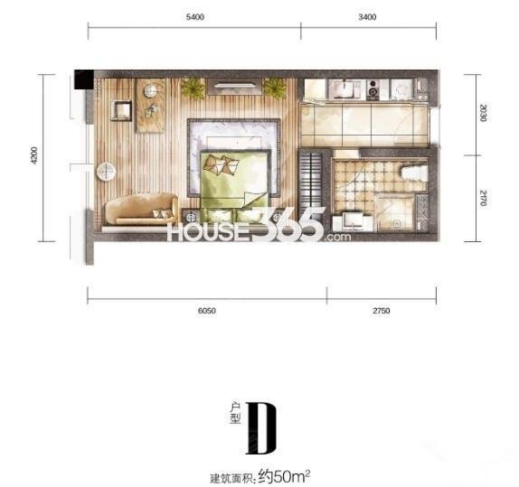 安居临江金座项目D户型 50㎡