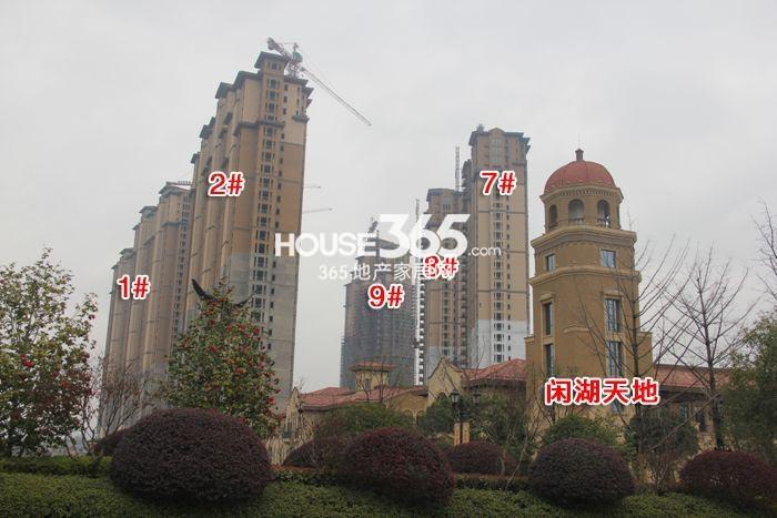 东海闲湖城印象加州1、2、7—9号楼施工进程（2015.3）