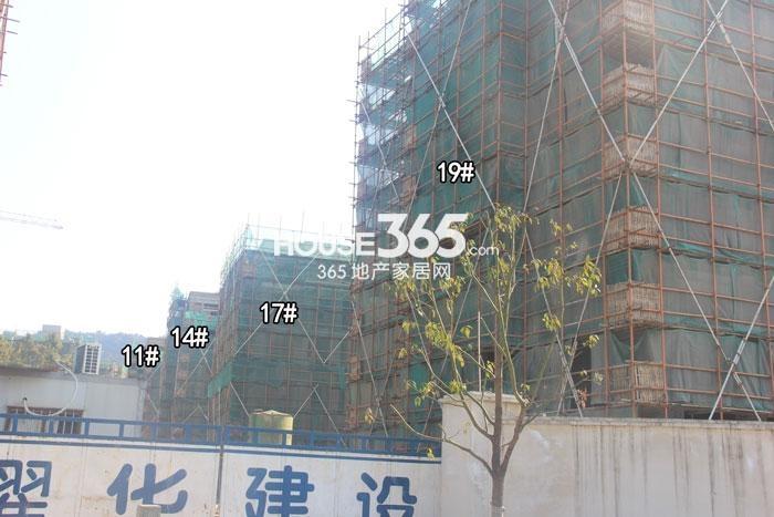 坤和求是里项目11、14、17、19号楼施工进程图（2015.3）