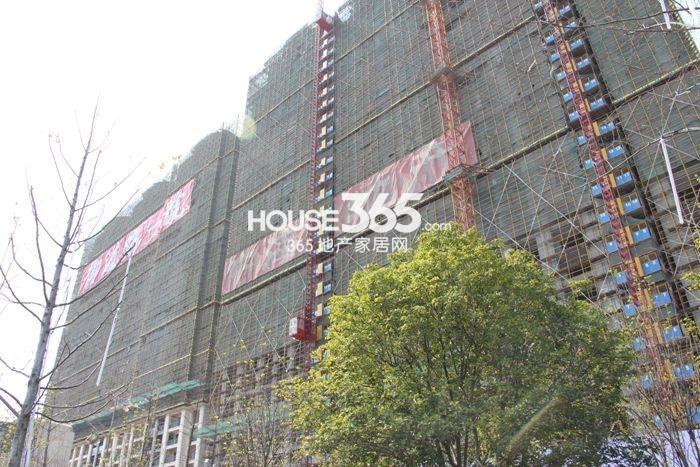 中海御道路一号保障房施工进度 2015年4月摄