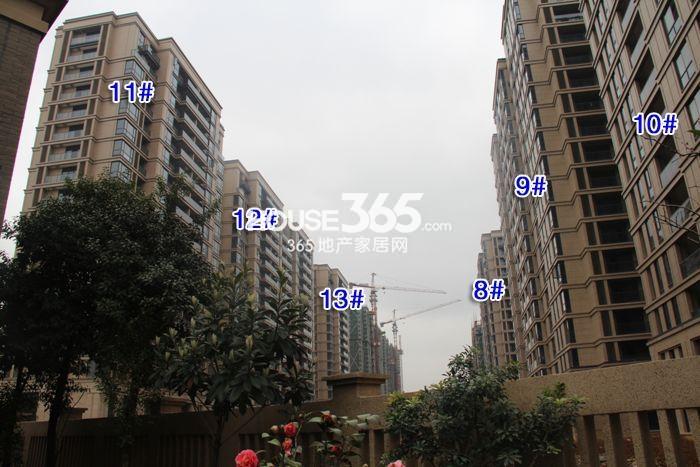 西溪海C组团8—13号楼施工进程（2015.4）