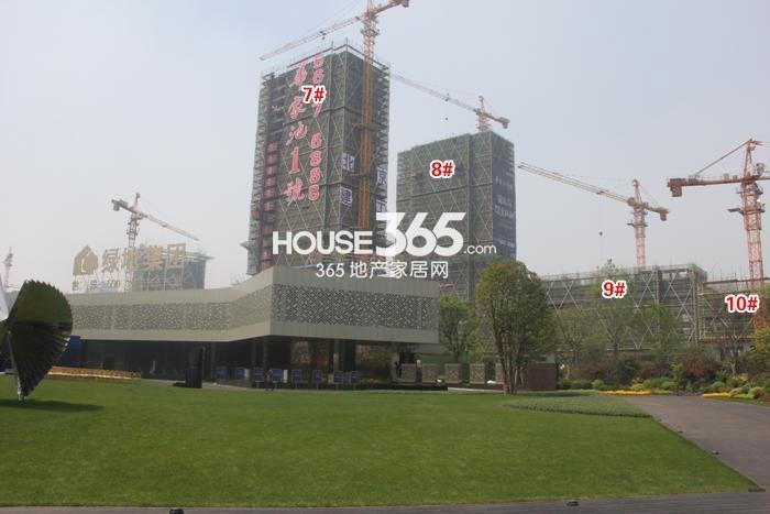 滨江华家池7-10号楼施工进度实景图 2015年4月摄 