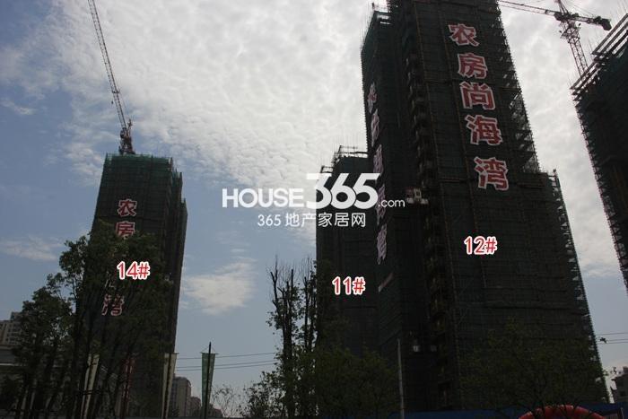 农房尚海湾11、12、14号楼实景图 2015年5月摄