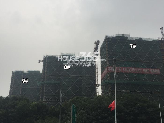 德信大家钱江府7-9号楼施工进度实景图 2015.9摄
