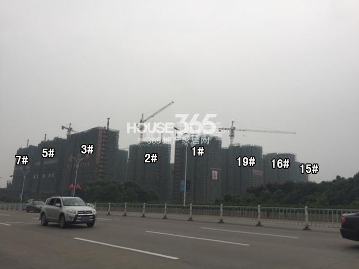 德信大家钱江府1-3、5、7、15、16、19号楼施工进度实景图 2015.9摄