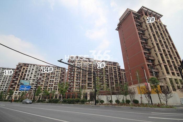 金地格林格林1、2、13、14号楼施工实景图 2015年9月摄 