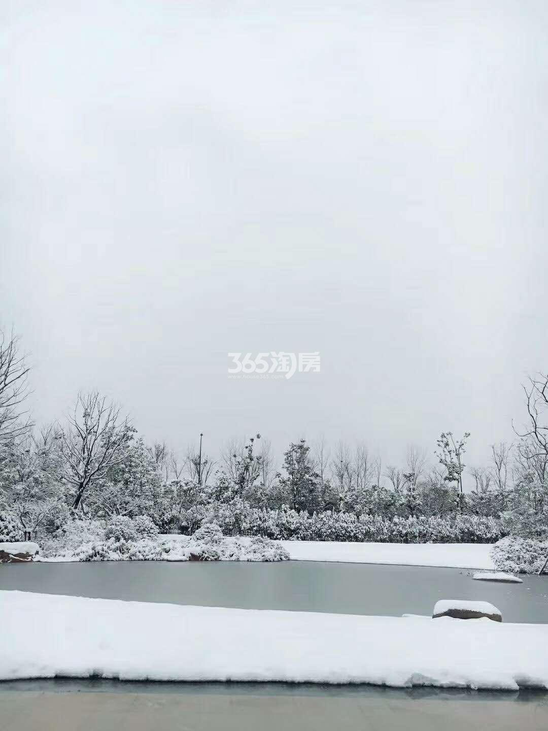 2018年1月烟雨颐和江南府示范区实景