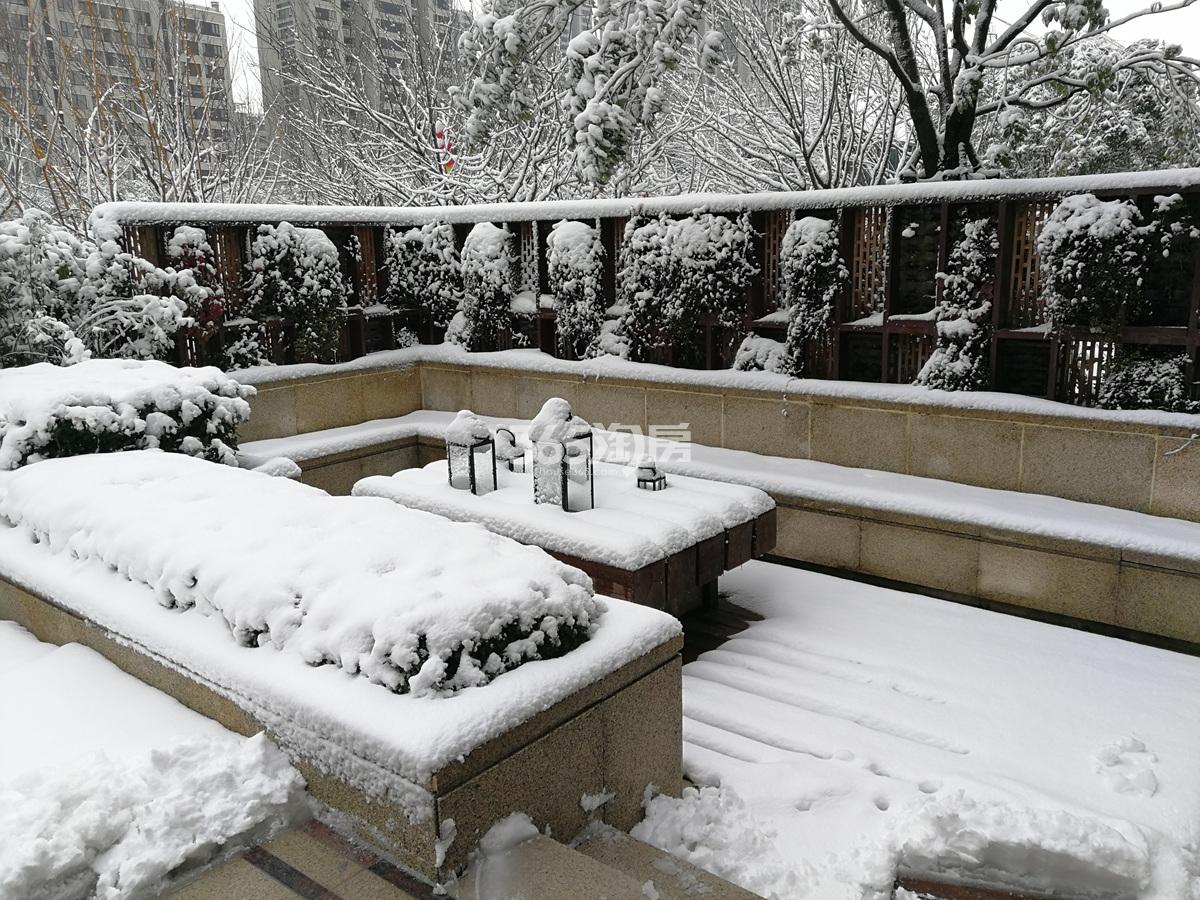 2018年1月融信澜天园区雪景