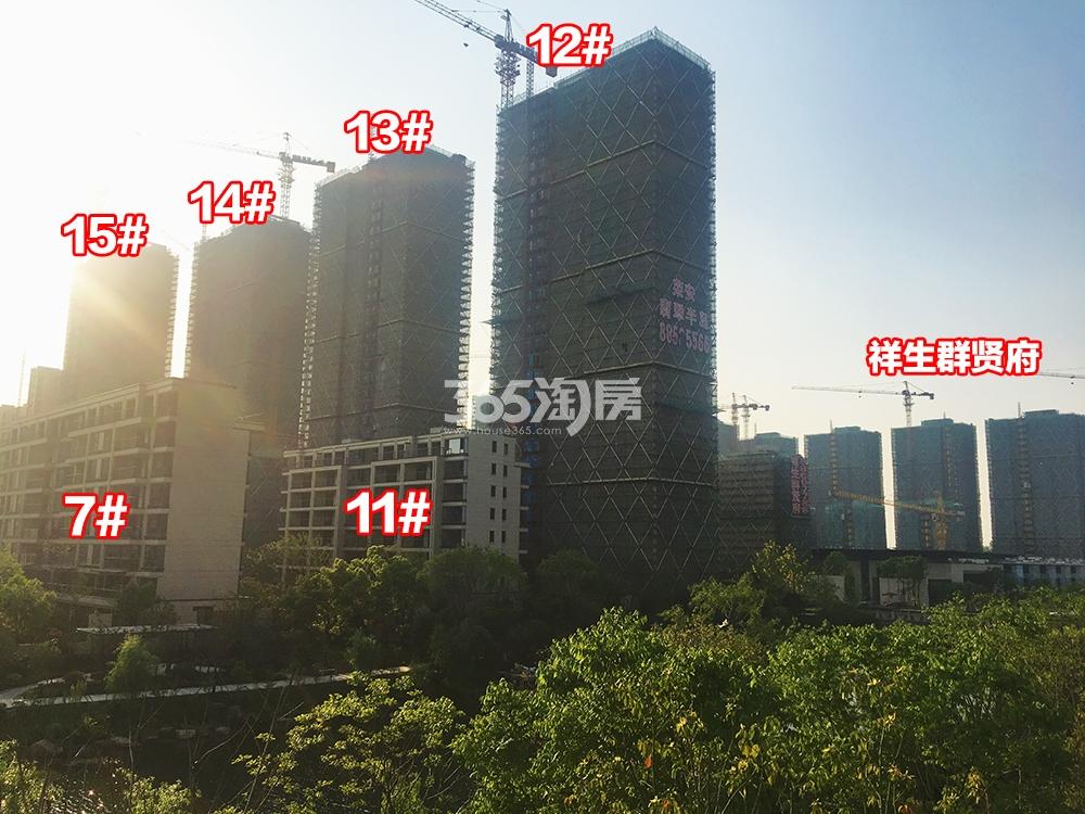 2018年5月上旬荣安翡翠半岛实景---高层12-15号楼和低密度多层7、11号楼
