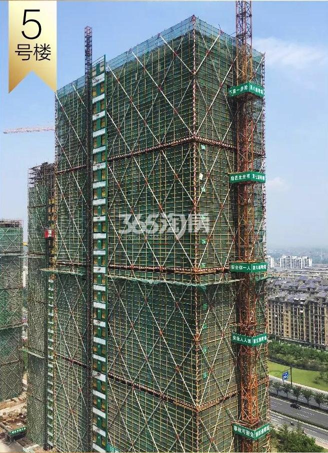 融信澜天实景图