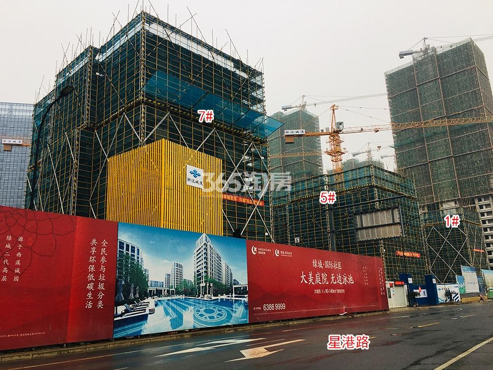 绿城国际社区工程进展（2019.02）