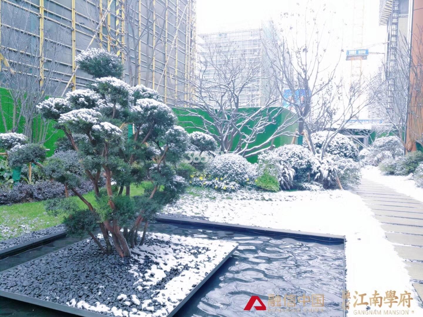 融信江南学府售楼处景观 2018年1月摄