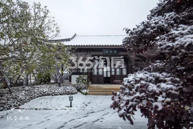 青云山居青云山居桃李春风园区实景图 2018年1月摄