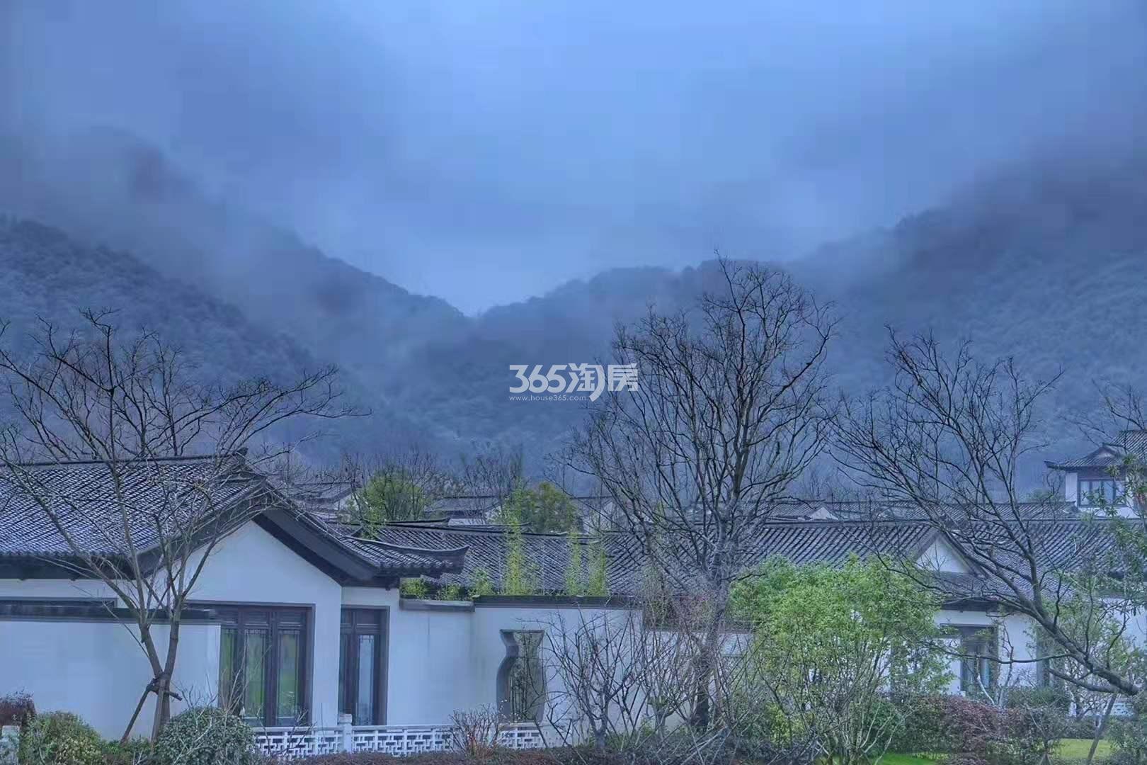 青云山居青云山居桃李春风实景（2019.02）