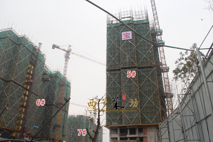 龙湖旭辉春江悦茗5、6、7号楼施工进度实景图 2016年1月摄