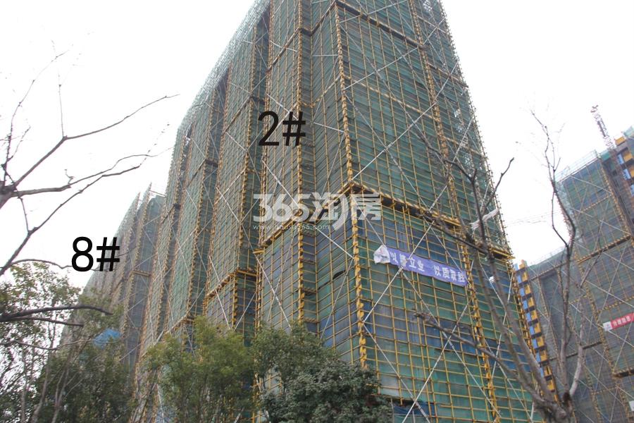 阳光城檀悦2、8号楼施工实景图 2018年3月摄