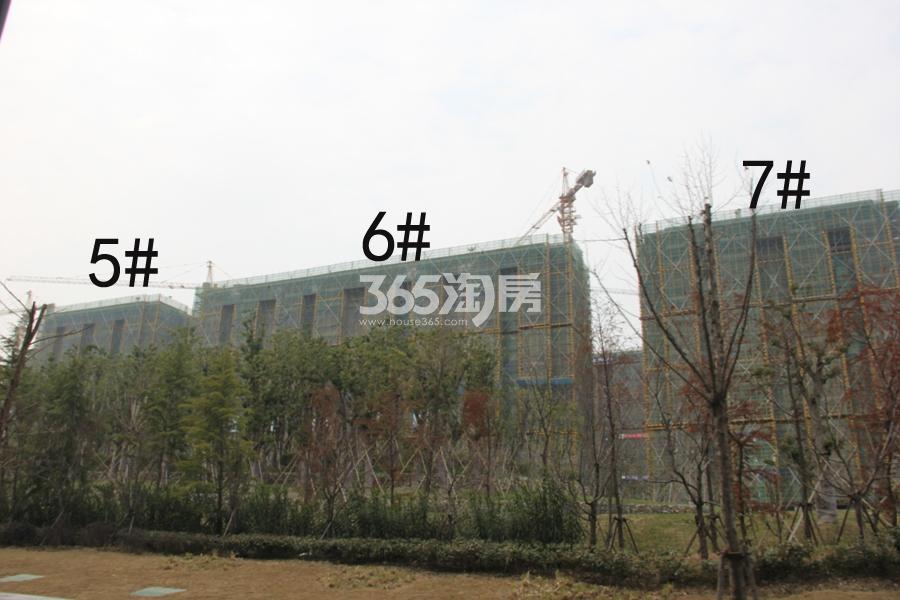 阳光城檀悦5、6、7号楼施工实景图 2018年3月摄