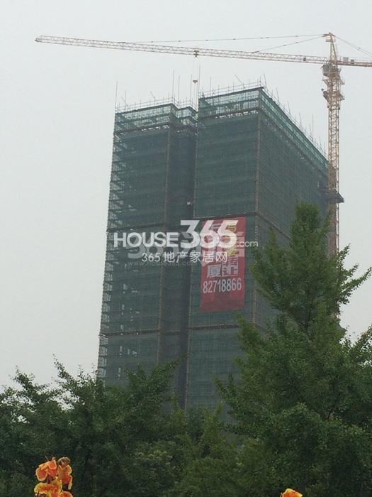 龙湖旭辉春江悦茗周边配套——万丰大厦 2015.7摄