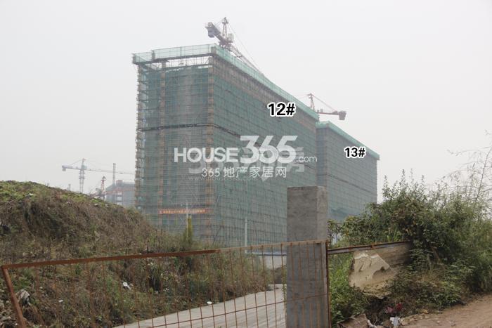 万科西庐二期12、13号楼施工进程图（2015.11）