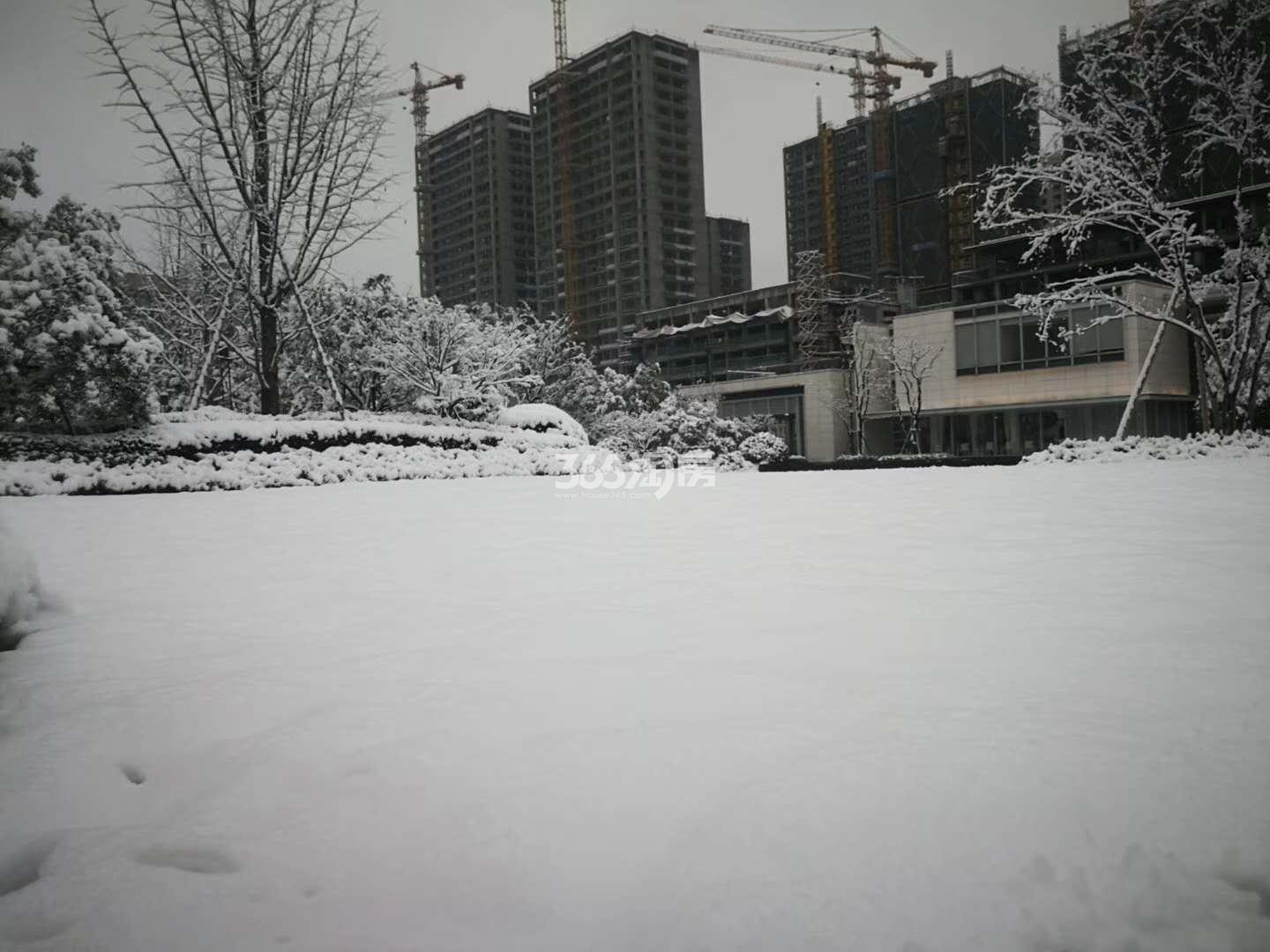 绿城九龙仓桂语江南雪景图 2018.12摄