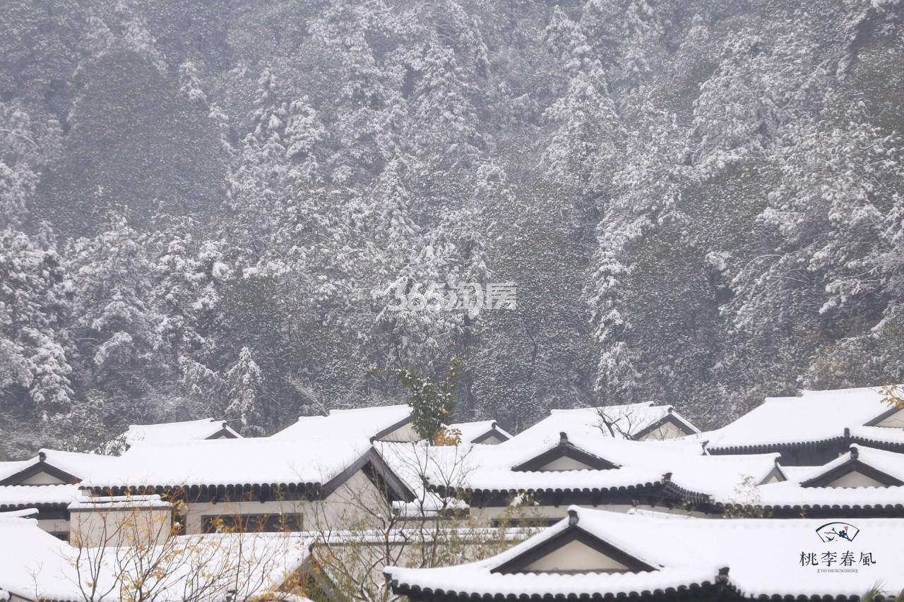 青云山居青云山居桃李春风雪景（2018.12）
