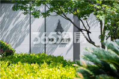 示范区