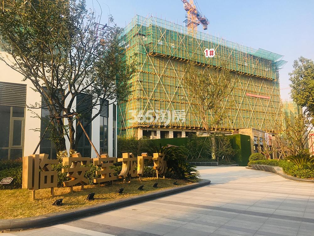 龙沁城1#工程进展（2018.10）