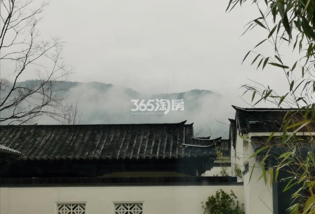 青云山居青云山居桃李春风实景（2020.03）