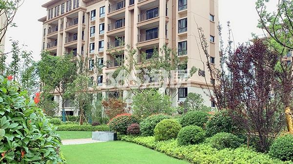 佳兆业湖心溪岸内部草坪实景图