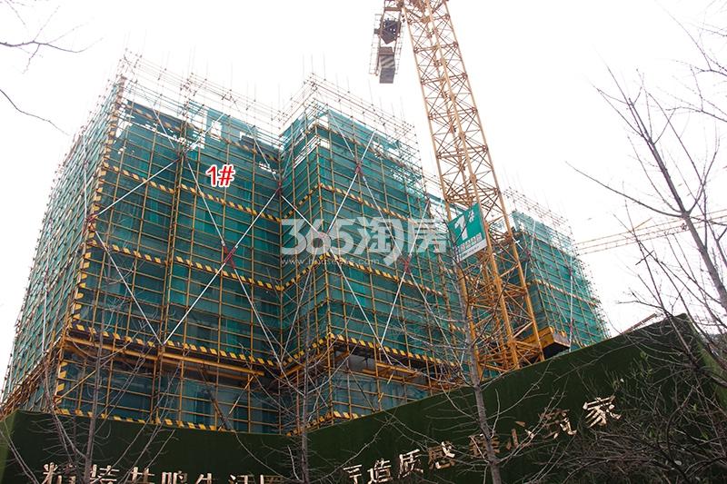 金辉贤林信步项目1号楼实景图（2017.12）