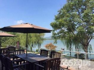 出售:毛坯别墅:产权房年代:2015年权属:山河水别墅(浦口区宿迁小区卧龙汤泉装修湾图片