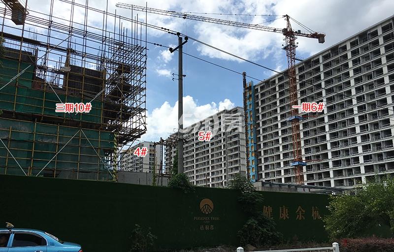 梧桐郡项目一期4-6、三期10号楼施工进程（2018.8）