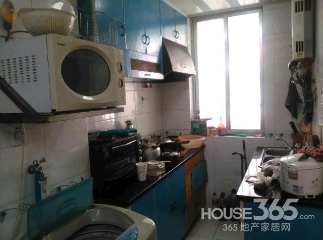 【黄金楼层 前面有棵树 夏天遮阳 冬天吸光 超好