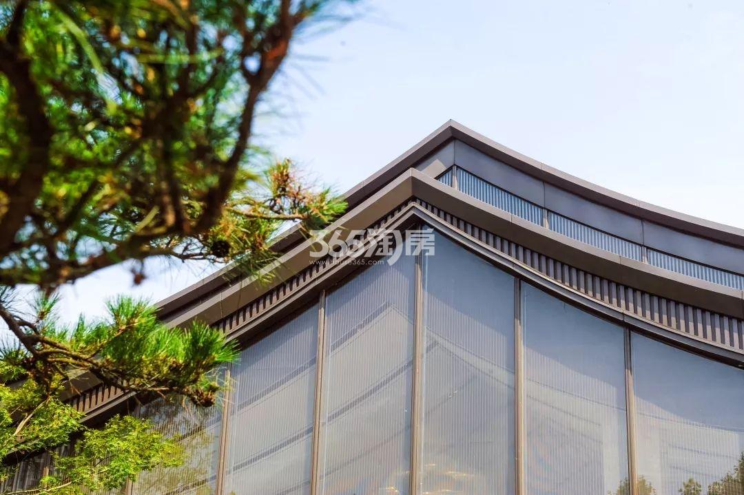 皓玉府示范区实景（2019.7）