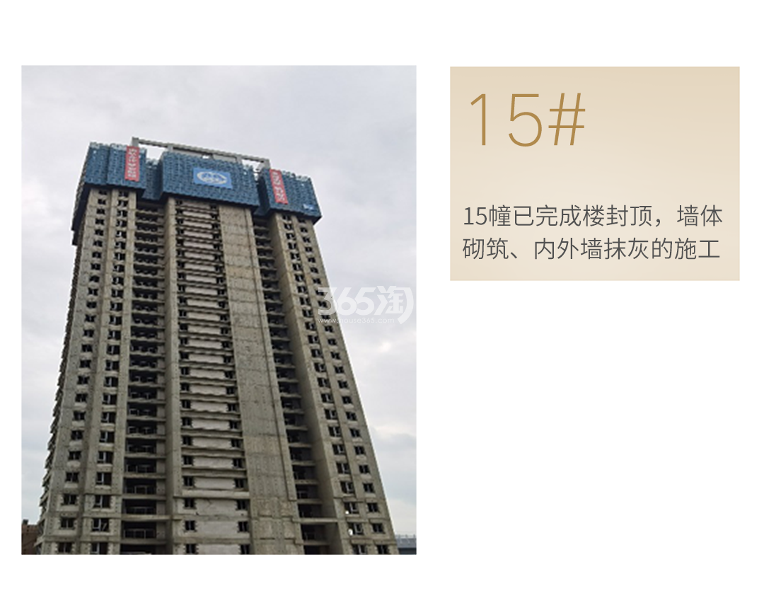 蔚宸悦城工程进度