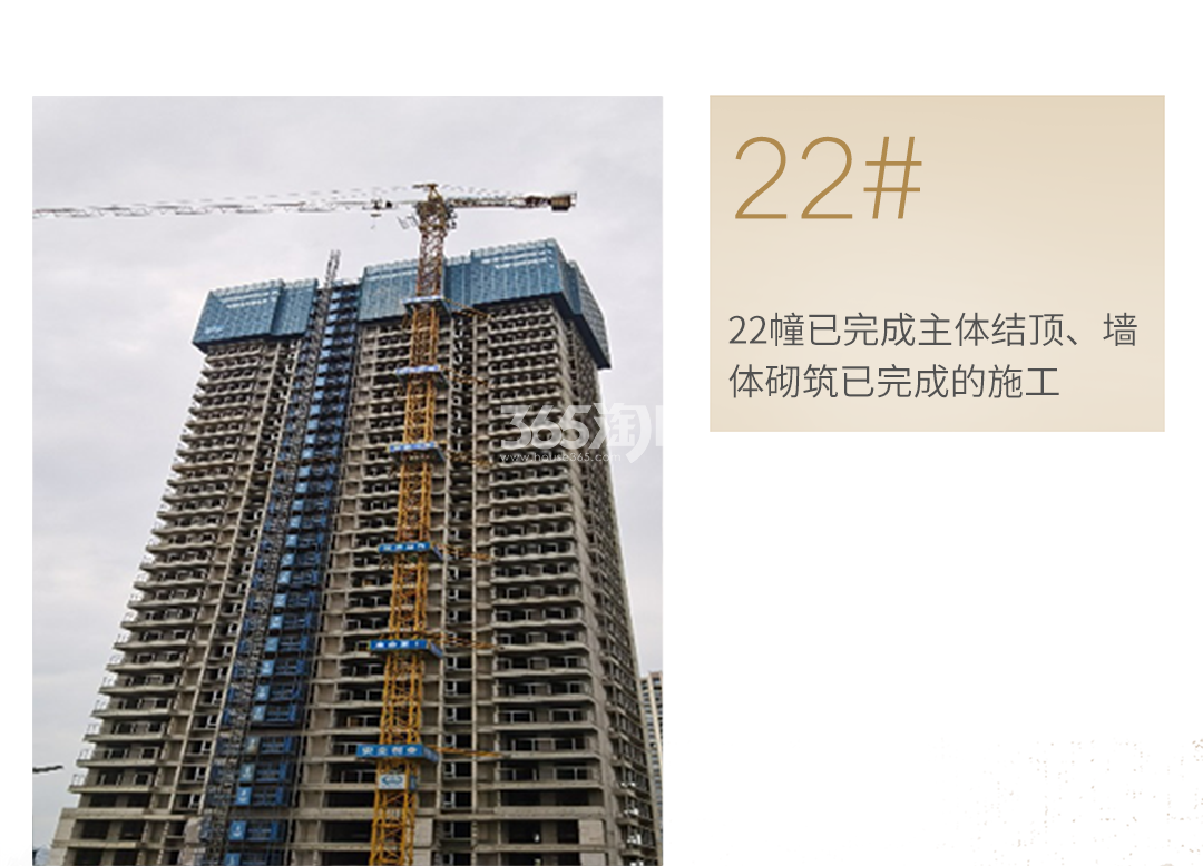 蔚宸悦城工程进度