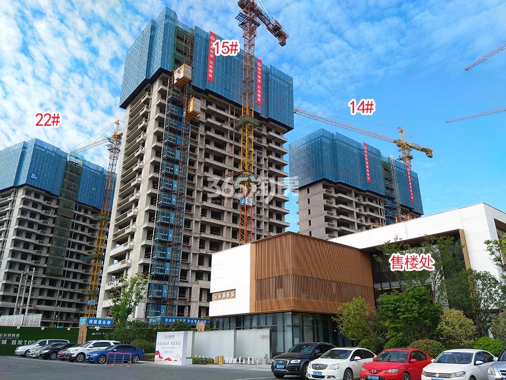蔚宸悦城工程进展（2019.05）