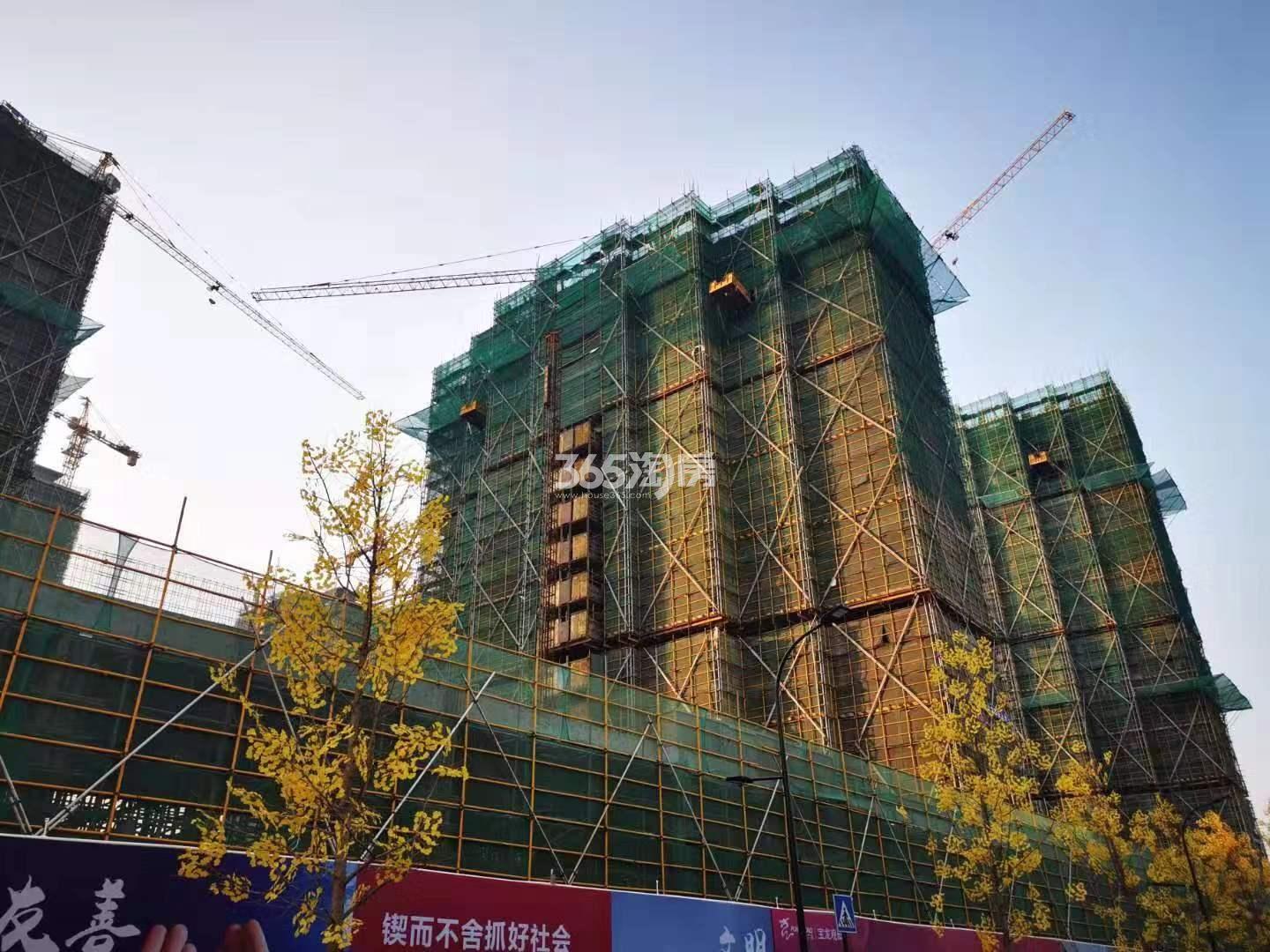 龙沁城实景图（2019.12）
