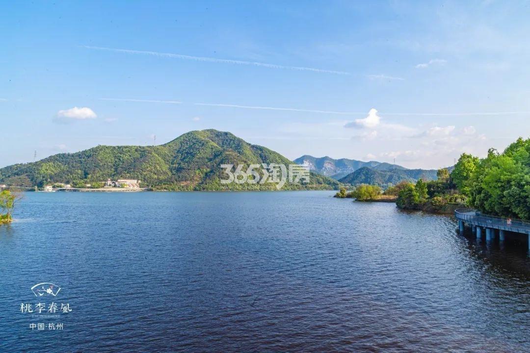 青山湖实景