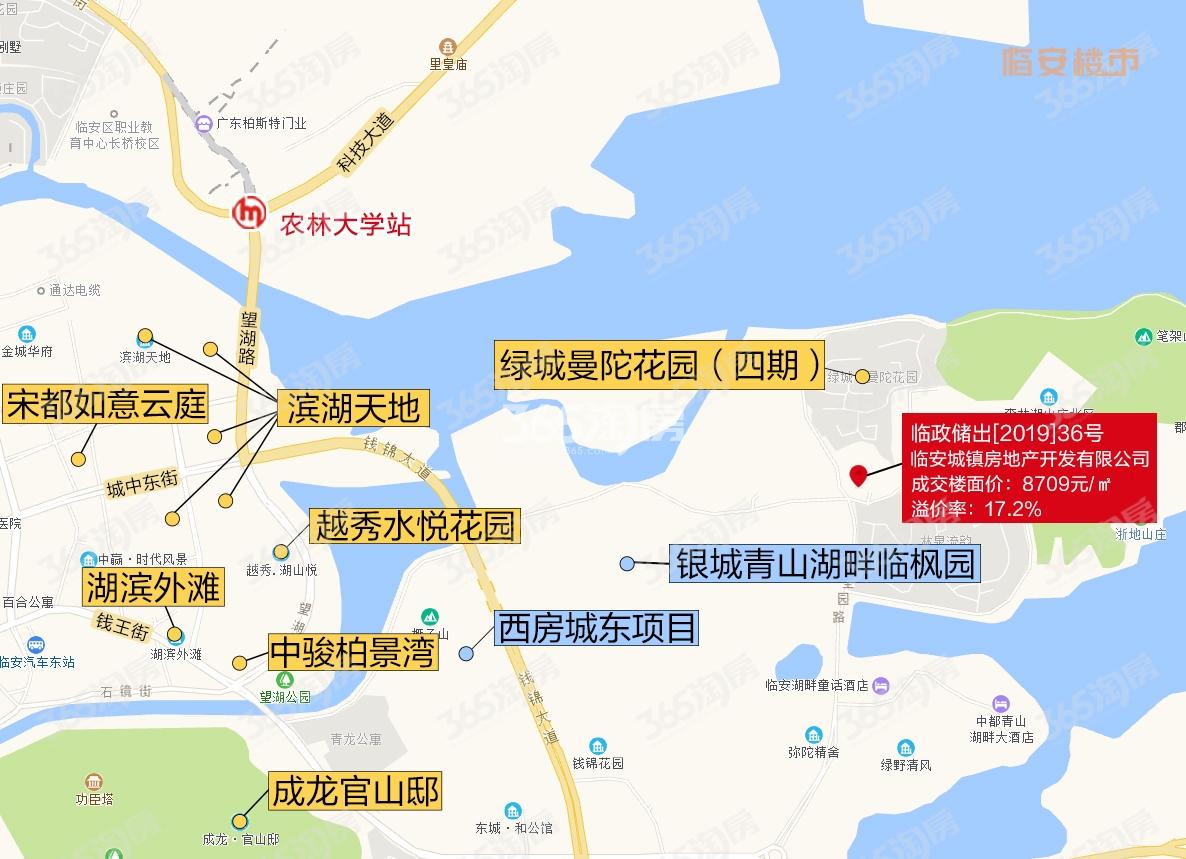 临安城镇房产滨湖新城商住地交通图