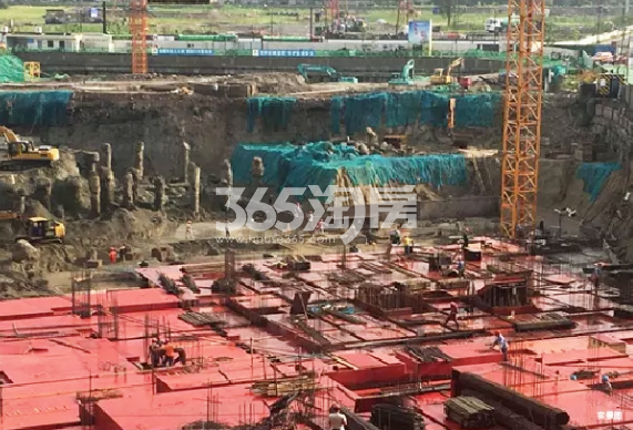 2019年7月滨江金地御品12号楼实景