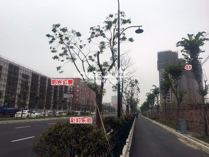2015年6月阳光郡项目实景--4号楼及周边